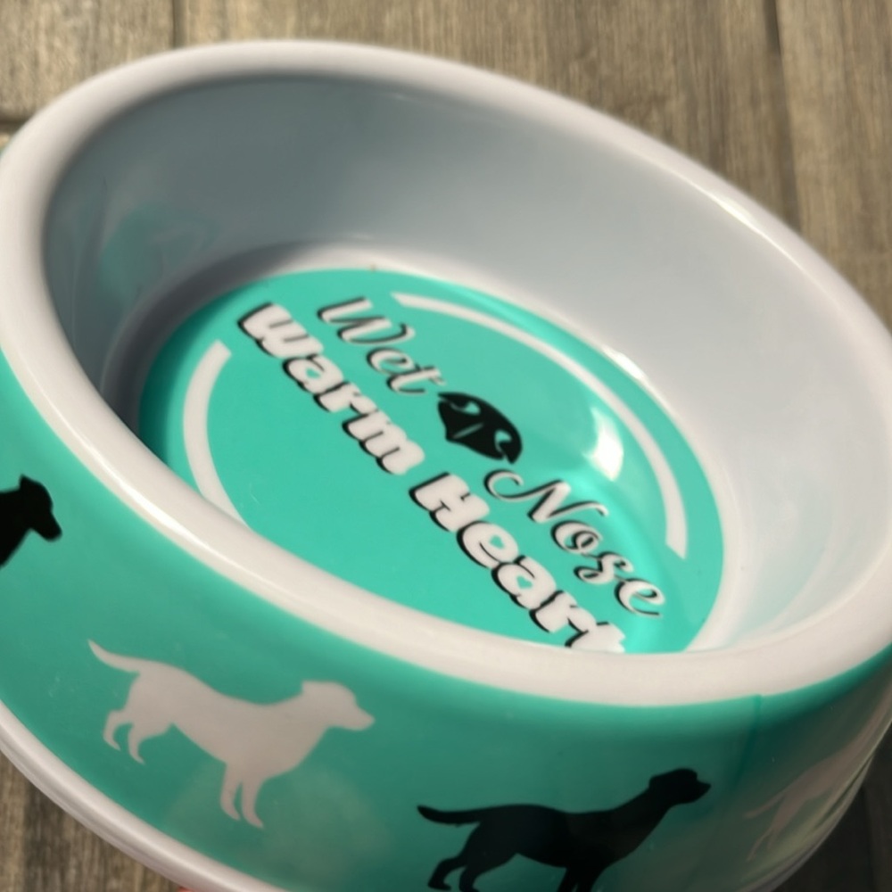 Dog/puppy dish and mat.